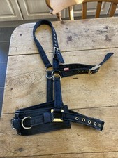 Genuine EquiAmi   Lunge