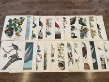 Choose Your Vintage 17" X  14"