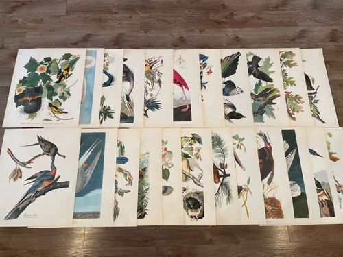 Choose your vintage 14 - x, 14"