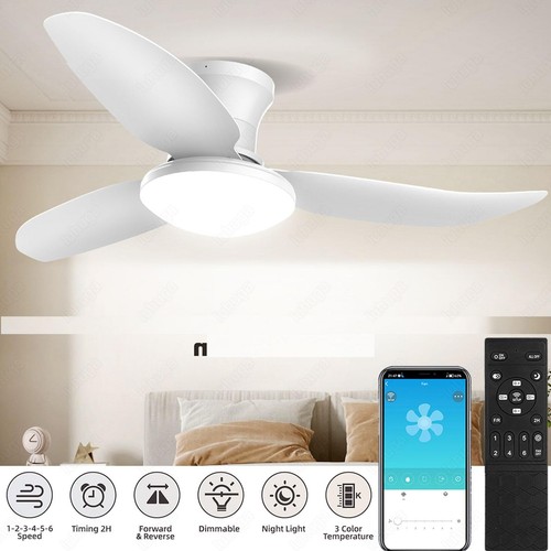 Led ceiling fans with light - fans,