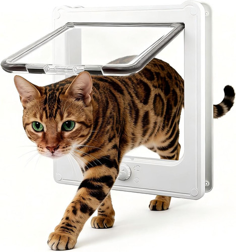 Cat flap - cat, with