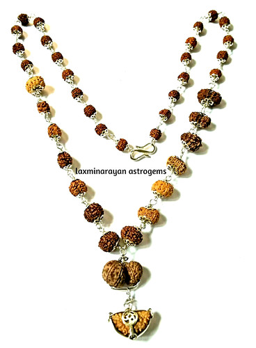 Rudraksha siddha mala 14 - mala, to