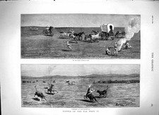 Original Old Antique Print