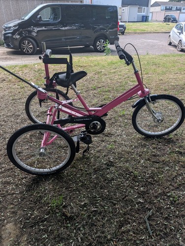 Tomcat t20 pink adult tricycle - tomcat,