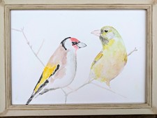 Goldfinch and greenfinch - goldfinch,