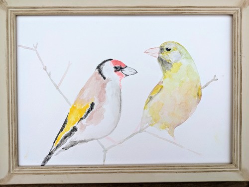 Goldfinch and greenfinch - goldfinch,