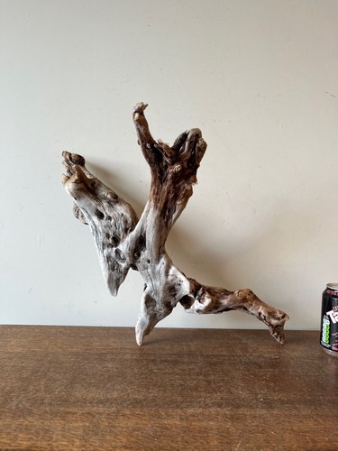 Driftwood piece beautiful long - piece,
