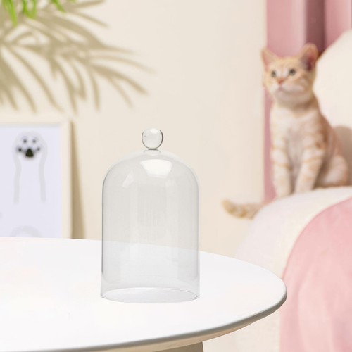 Eternal flower glass cover - flower,