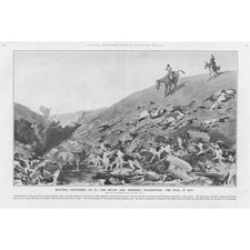 The Devon & Somerset Staghounds with a Stag at Bay - Vintage Print 1923