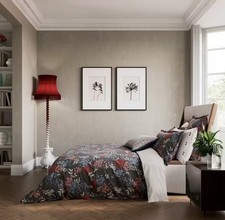 Bedeck of Belfast Lucine