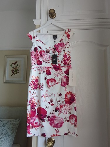 Adrianna papell floral - adrianna, papell.