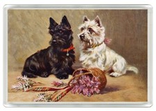 WEST HIGHLAND WHITE SCOTTISH