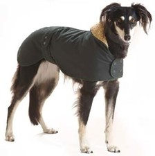 Water & Windproof Greyhound