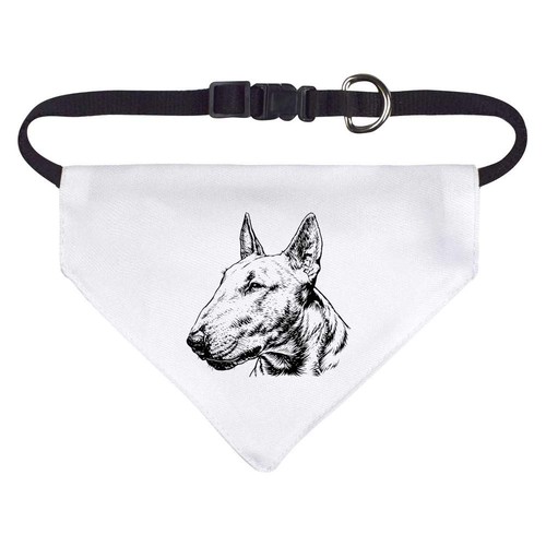 English bull terrier - bull, /