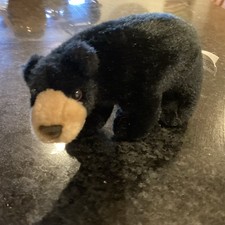 Beautiful Orvis Black Bear Cub