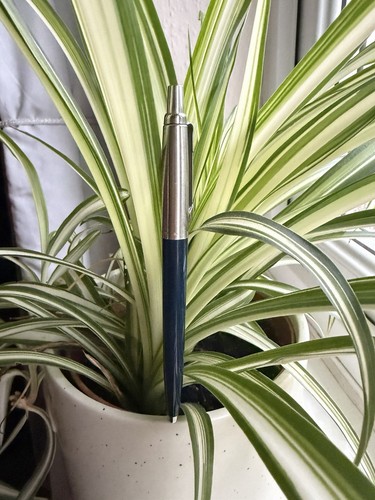 Parker biro pen ballpoint - biro,