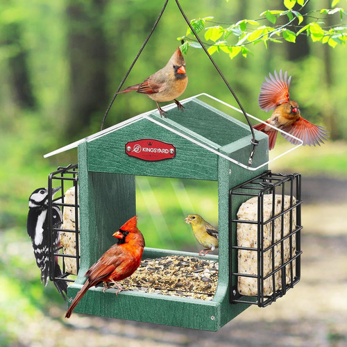 Bird feeder for - bird, outdoor