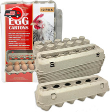 Paper Pulp Egg Cartons - 12