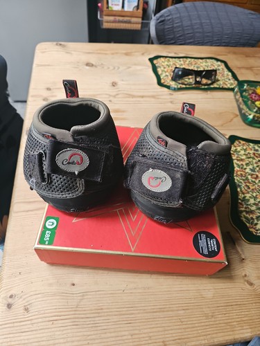 Pair cavallo hoof - hoof,