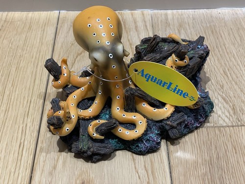 Aquarium fish tank octopus - fish,