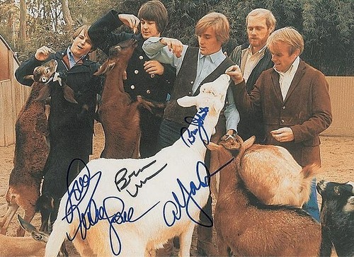 The beach boys signed - the,