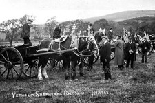 dda-69 Show Horses, Yetholm