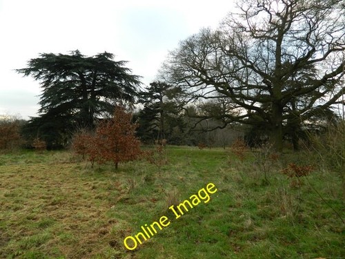 Photo 6x4 woodlands danbury - photo, in