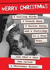 Quitting Hollywood Tom's