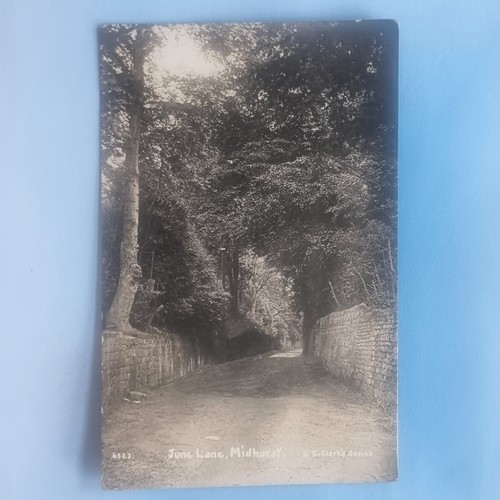 Midhurst postcard c1910 real - midhurst,