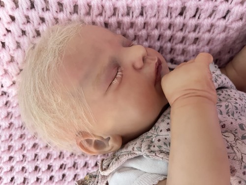 Reborn limited edition - reborn, baby