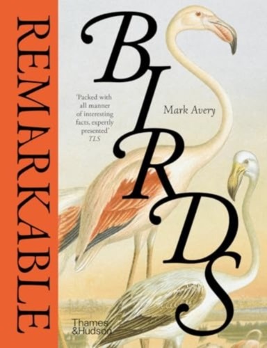 Remarkable birds mark - mark, avery