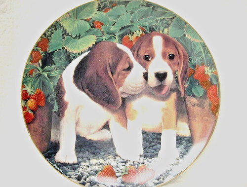 Beagle puppy decorative - beagle,