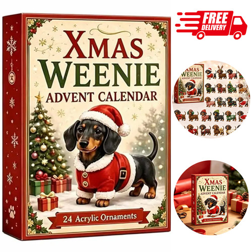 Dachshund christmas advent - dachshund,