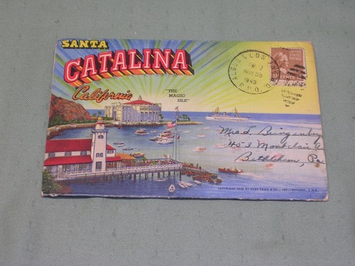 Santa catalina island - santa,