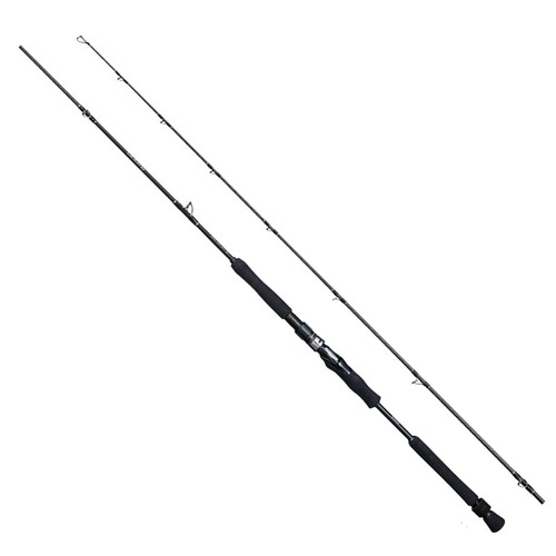 Shimano electric jigging rod - jigging,