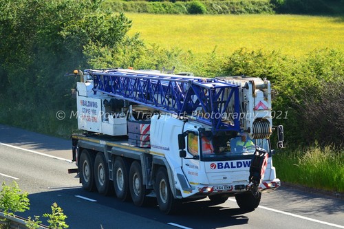 Crane photo 12x8 grove - -,