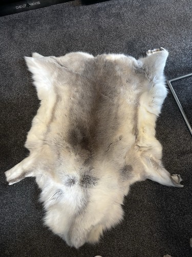Reindeer hide rug - reindeer,