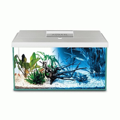 Aquael leddy 54l aquarium tank - aquael,