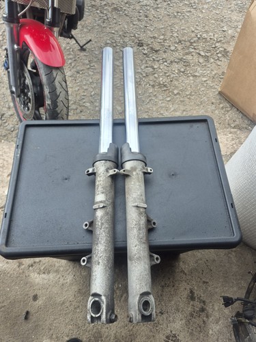 Honda cbf600 2004 - 2004-2007, front