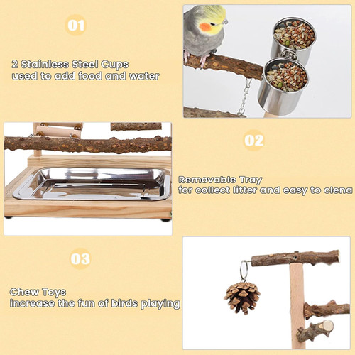 Bird playground parrot - bird,