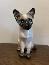 Winstanley siamese cat size 2