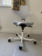 Silver White Hag Capisco Puls