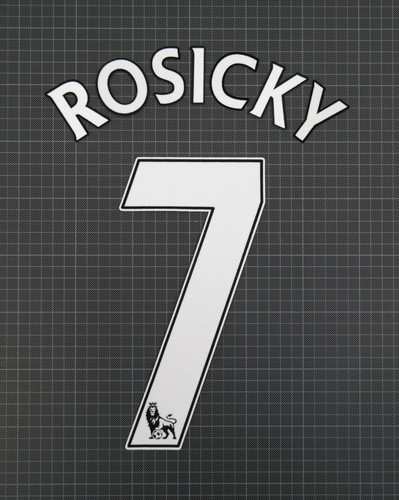 Rosicky 2007 2013 - rosicky, #7