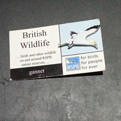 5cm gannet metal enamel - 2.5cm, rspb