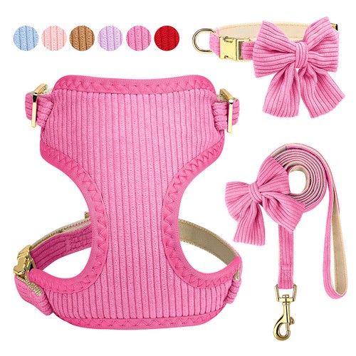 Cute girl dog harness lead - girl,