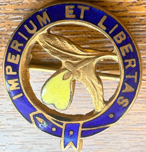 Primrose league enamel badge - league,