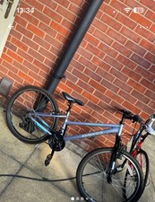 Moonstone Dawes Mountain Bike