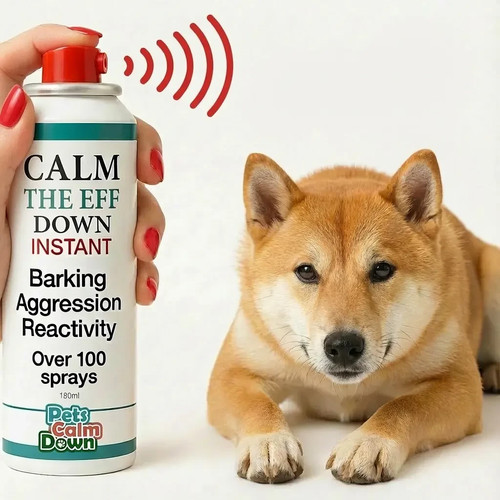 Dog training spray stops - dog,