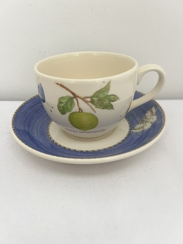 Wedgwood sarah garden - , ‘sarah's