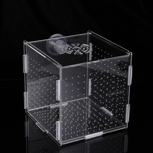 Aquarium isolation box fish - isolation,